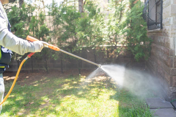 Best Pest Removal Services  in Halls, TN