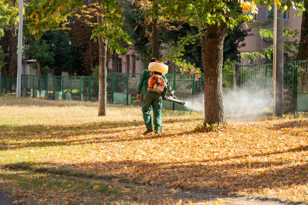 Best Pest Prevention Services  in Halls, TN