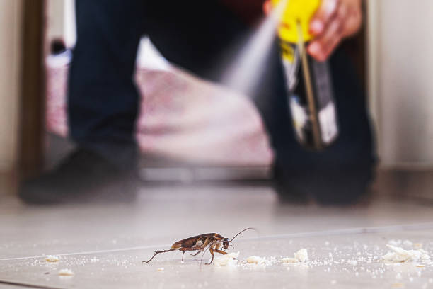 Best Commercial Pest Control Services  in Halls, TN