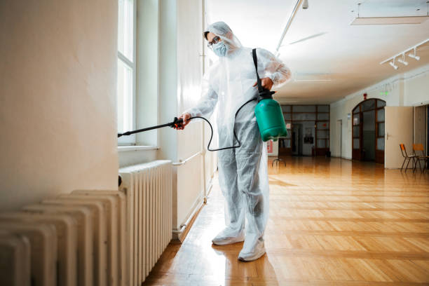 Best Rat Extermination Near Me  in Halls, TN