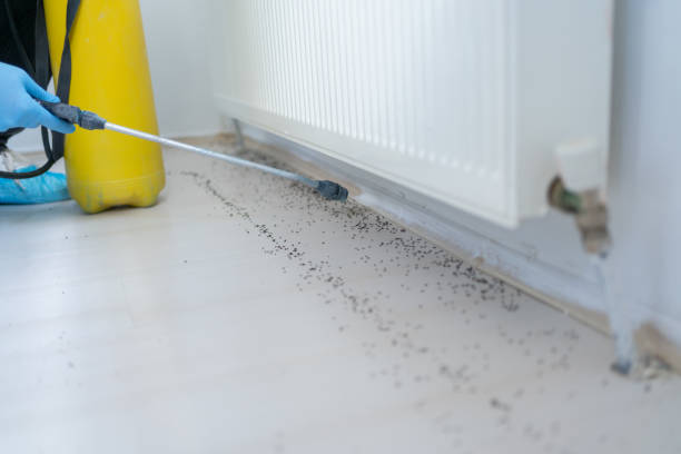 Best Cockroach Control Services  in Halls, TN