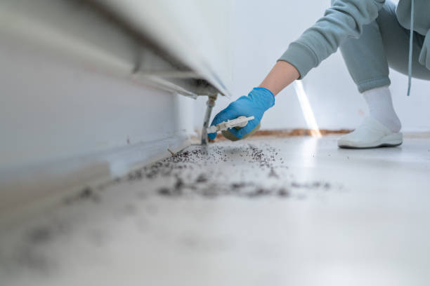  Halls, TN Pest Control Pros